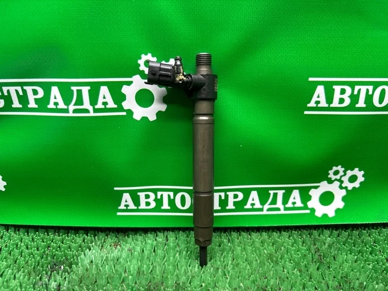 Форсунка топливная Land Rover Evoque 2011-2016 9687454480 224DT