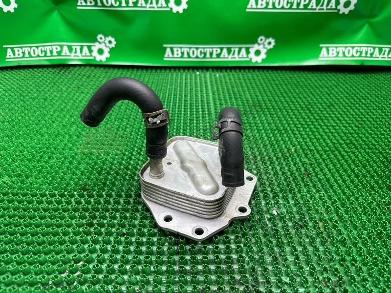 Радиатор масляный Lexus LX570 2007-2021 1571038021