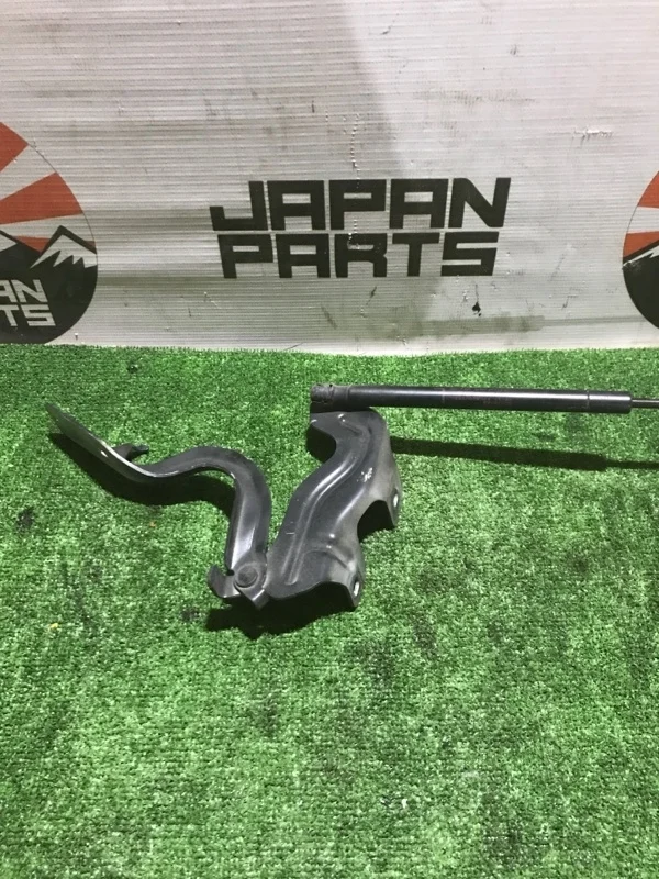 Петля капота Nissan Murano 654001AA9A Z51, левая
