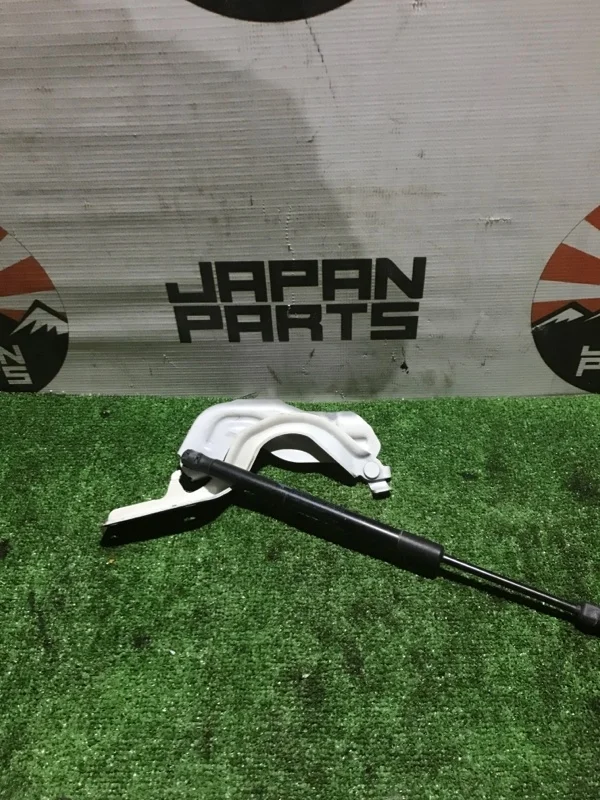 Петля капота Nissan Murano 654001AA9A Z51, левая