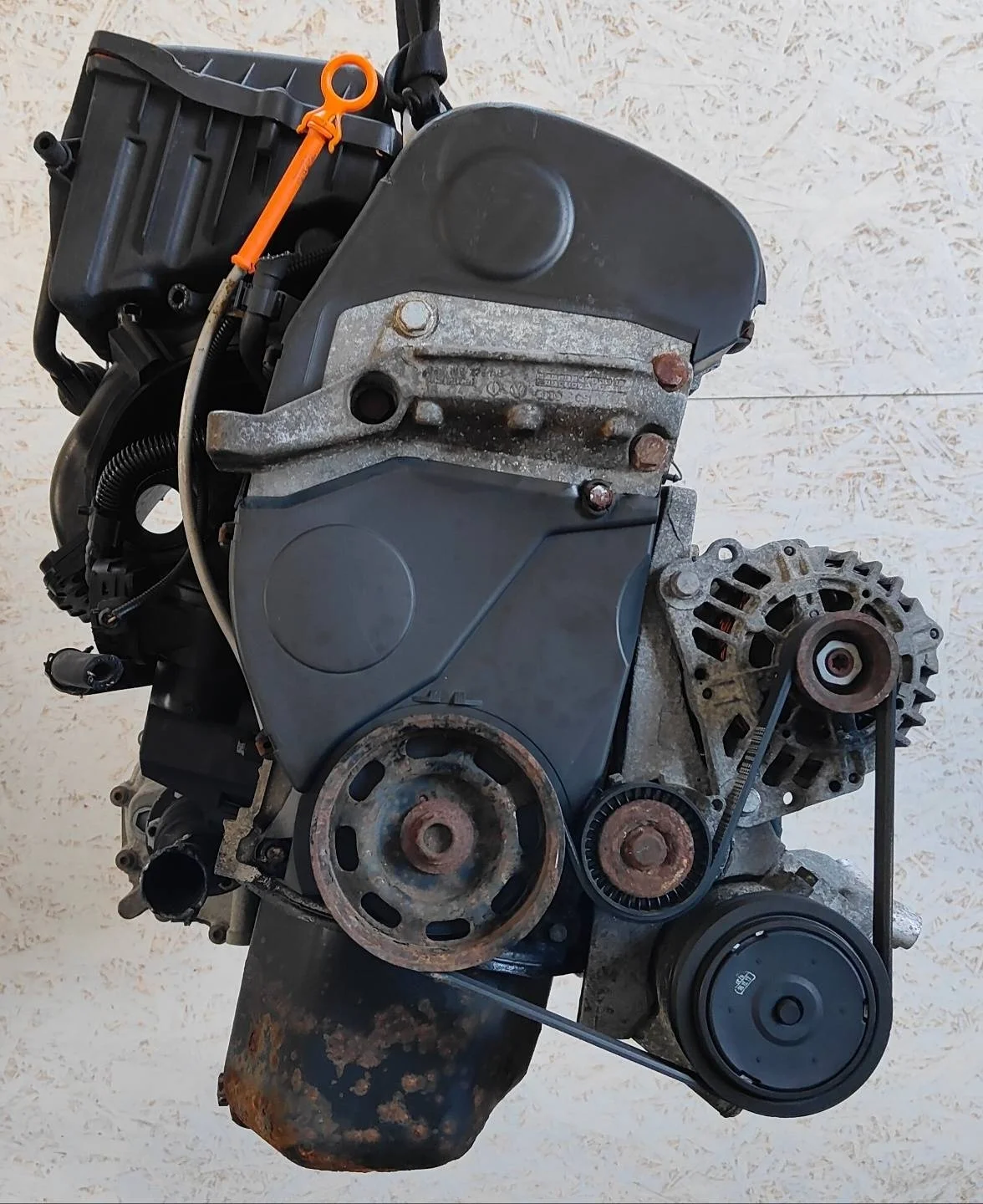 Двигатель BXW Seat Ibiza 3 1.4 Бензин