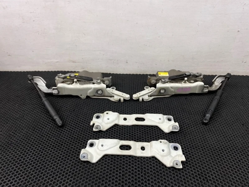 Петли капота Bmw 7-Series 2010 7184190 F01 N63B44A 4.4