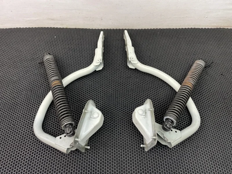 Петли багажника Bmw 7-Series 2010 7185253 F01 N63B44A 4.4