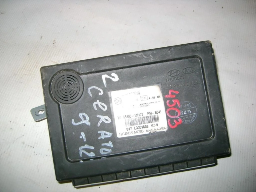 Блок управления центральным замком Kia Cerato 2 TD