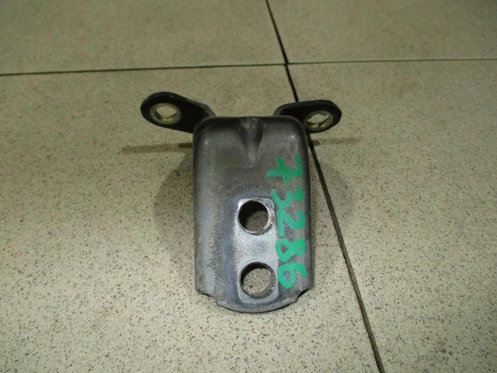 Петля двери передней Infiniti G37 2009 V36