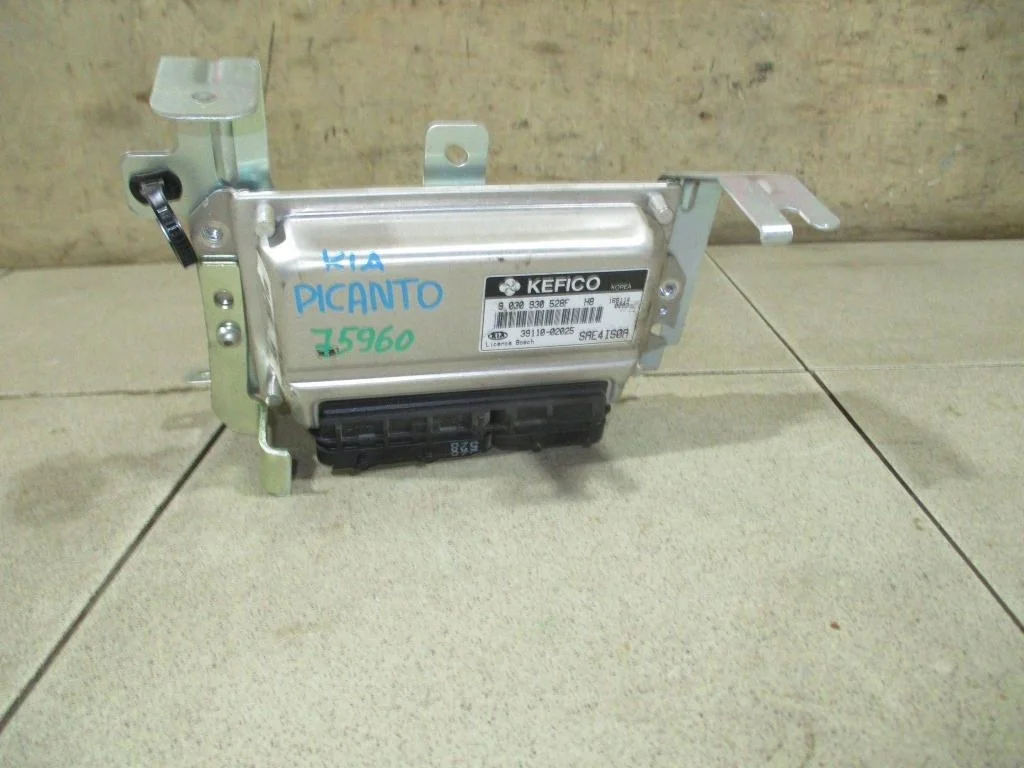 Блок управления двигателем Kia Picanto 1 SA