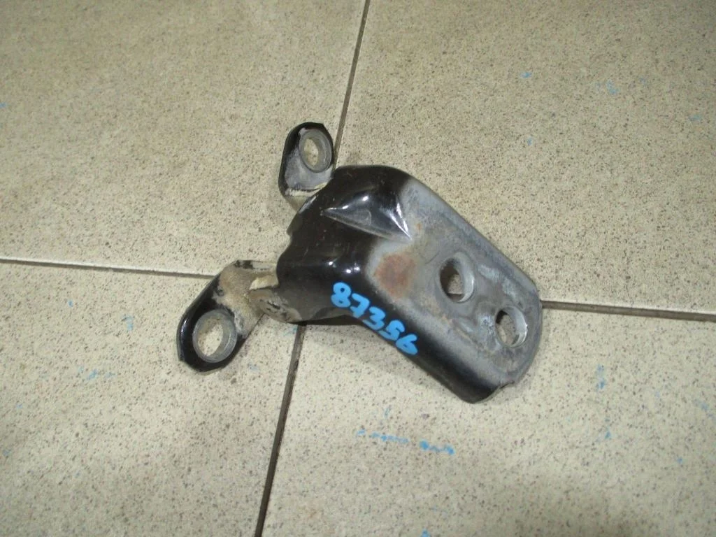 Петля двери задней правой нижняя Nissan Murano 2010 Z51