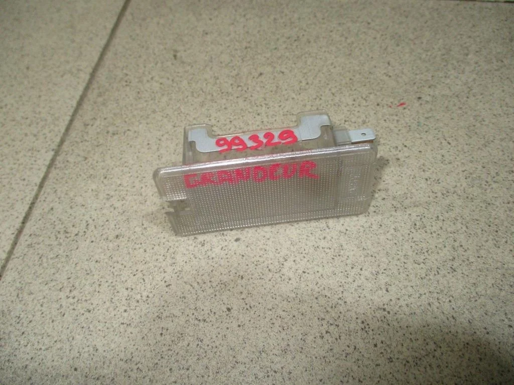 Плафон салонный Hyundai Grandeur 2006 TG