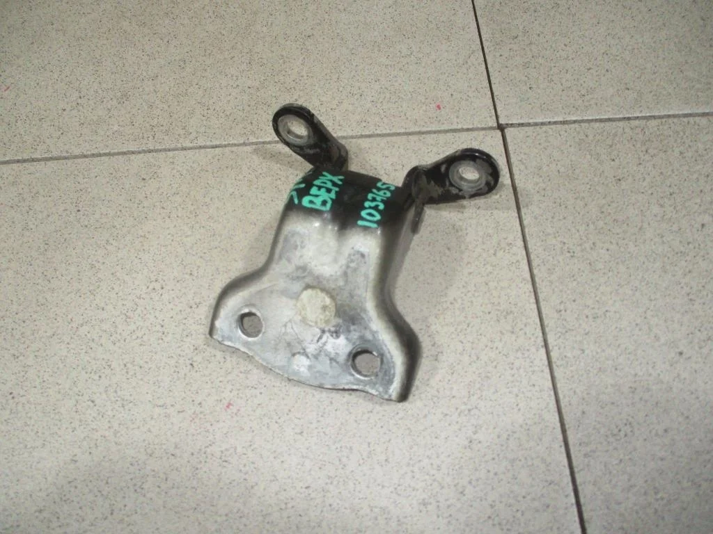 Петля двери задней Chevrolet Captiva 2007 C100