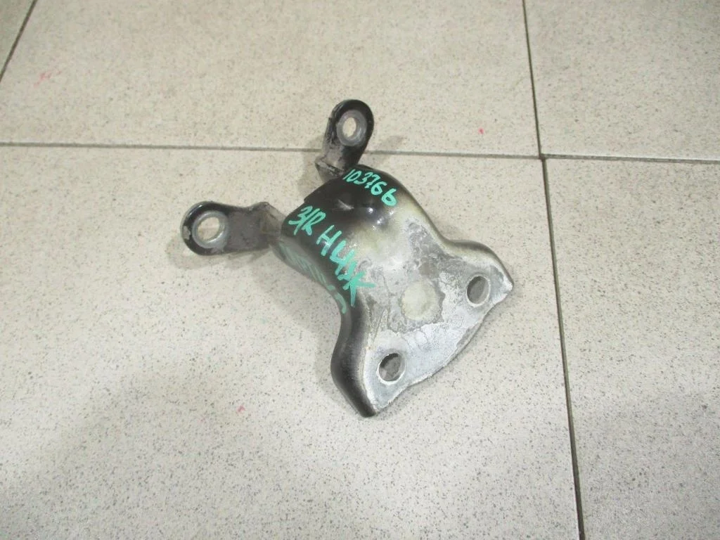 Петля двери задней Chevrolet Captiva 2007 C100