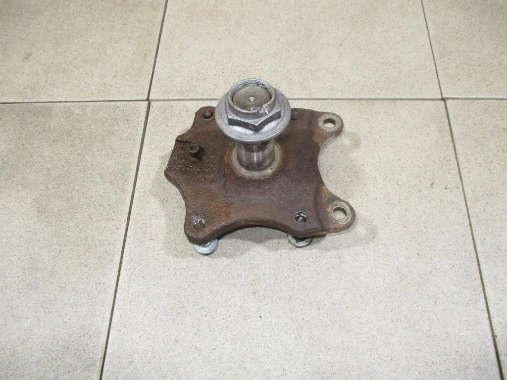 Цапфа Citroen C4 2007 LC