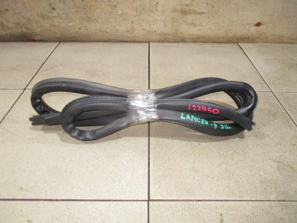 Уплотнитель двери Mitsubishi Lancer 9 CS