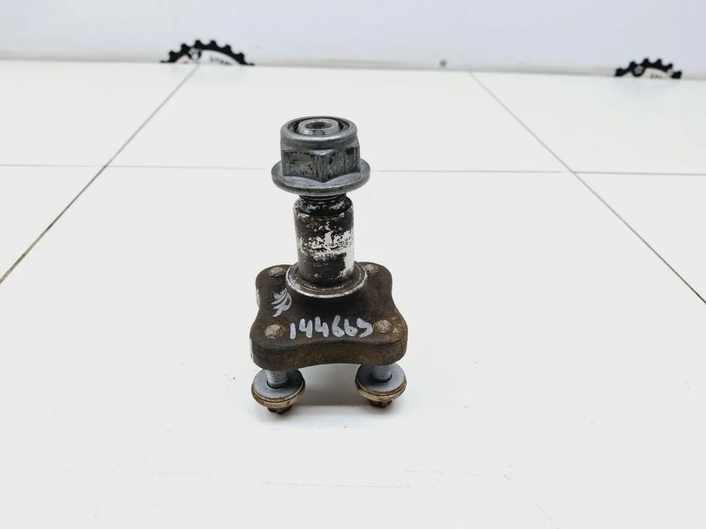 Цапфа Renault Sandero 1 2010 BS