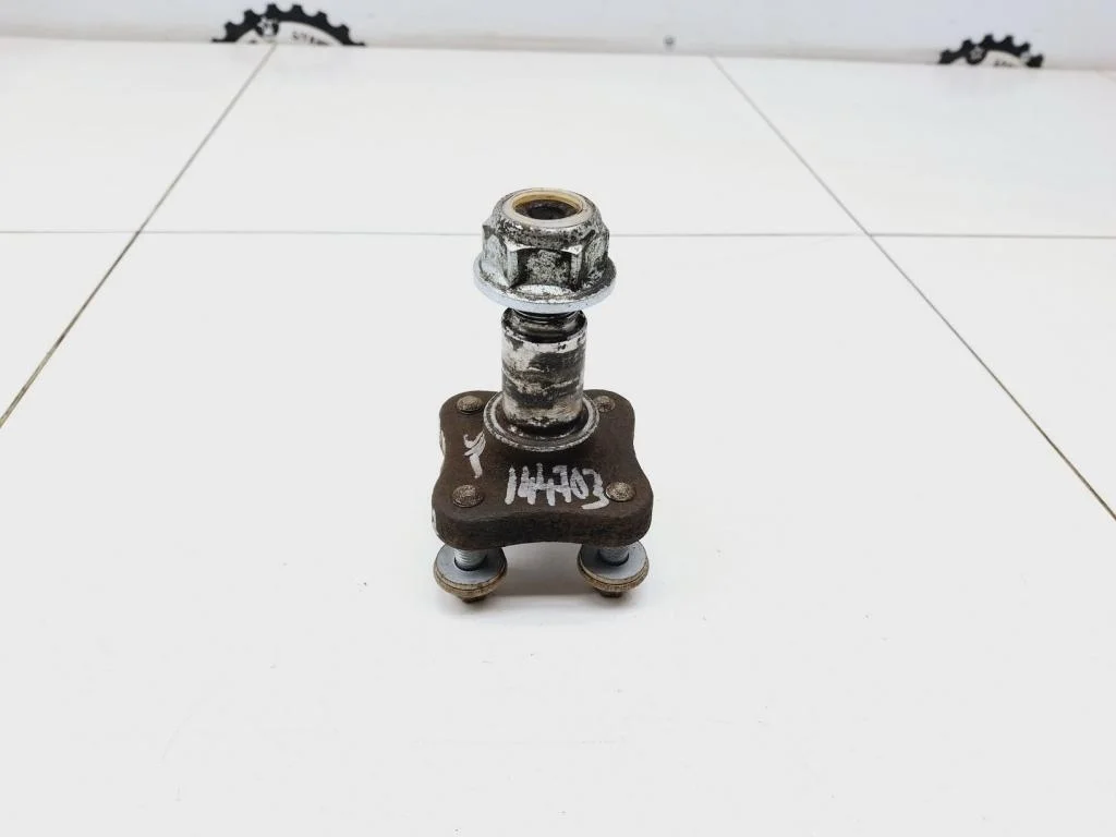 Цапфа Renault Sandero 1 2010 BS