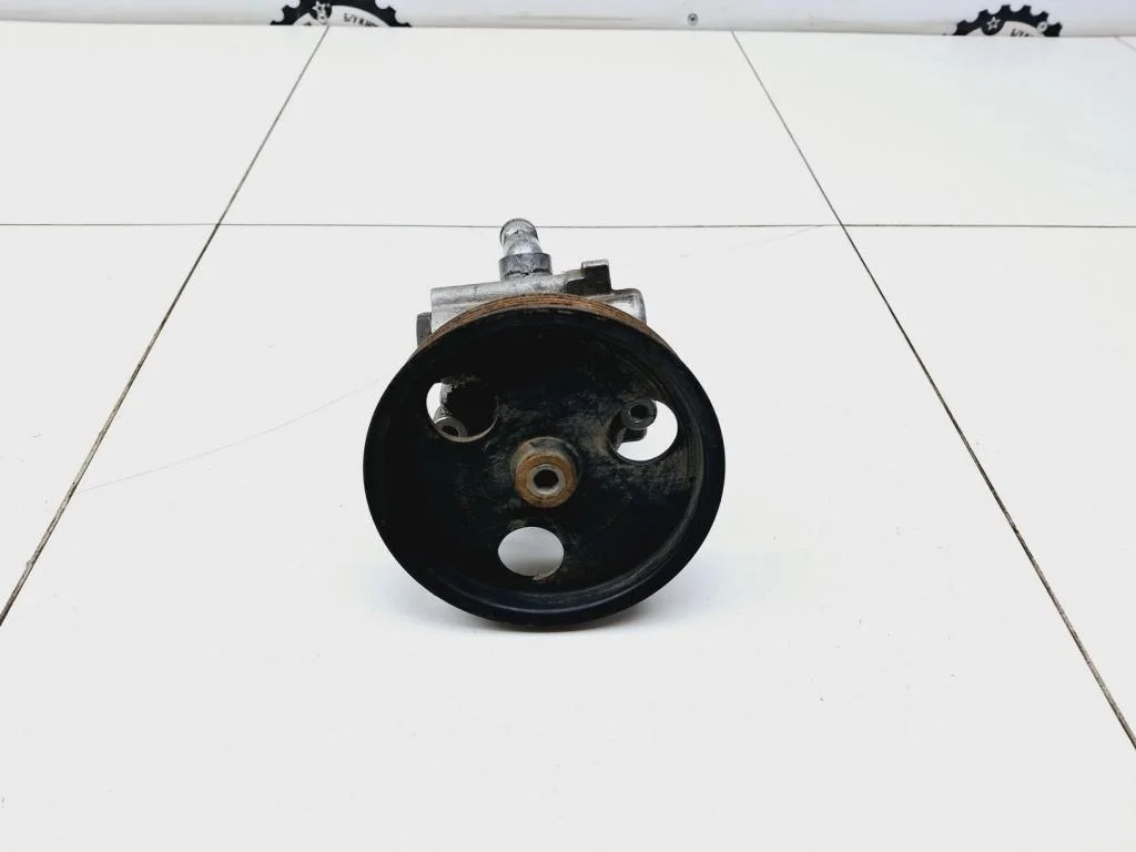 Насос гидроусилителя Renault Duster 1