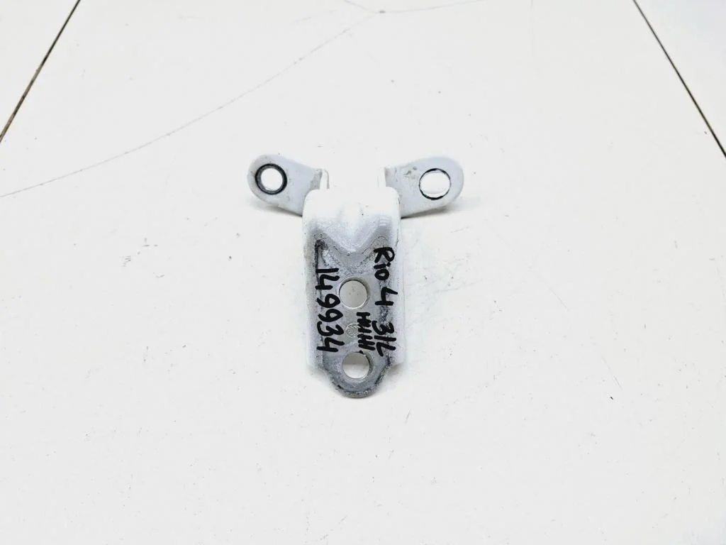 Петля двери задней левой нижняя Kia RIO 4 2018 FB