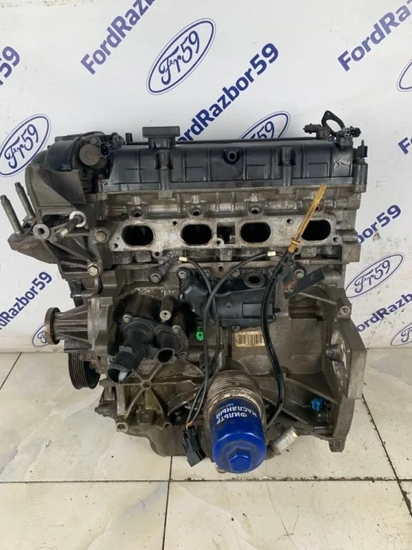 Двигатель Ford Focus 3 2012 1752082 CB8 1.6 (IQDB)