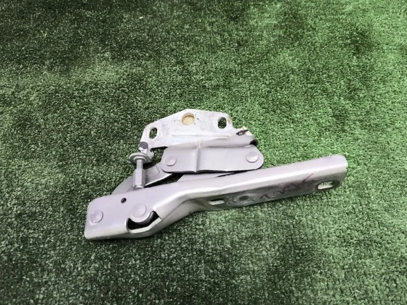 Петля капота Volkswagen Passat 2012 3AA823301 B7 CAXA, левая