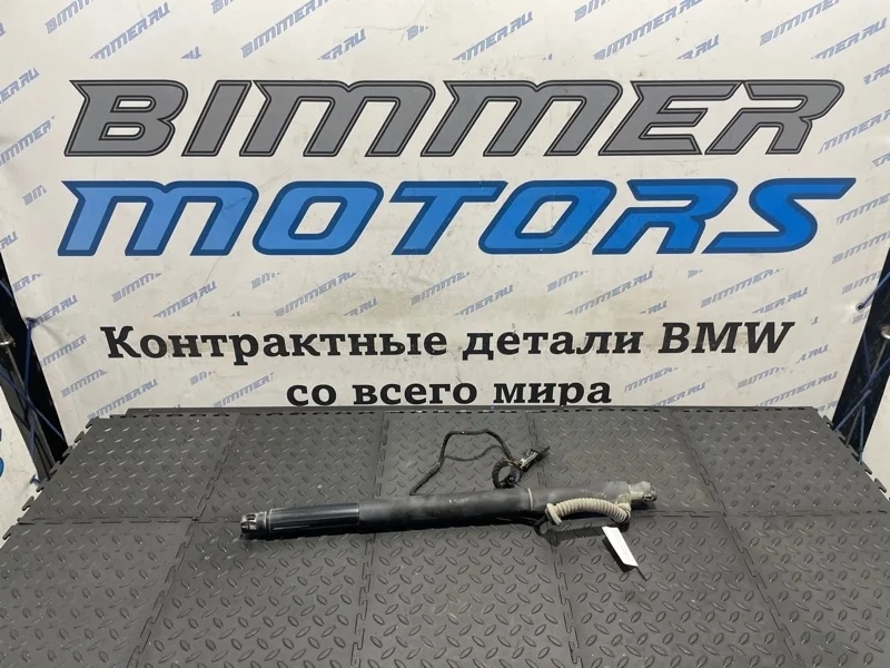 Доводчик двери багажника Bmw X6 51247332697 E71 N55B30A, левый