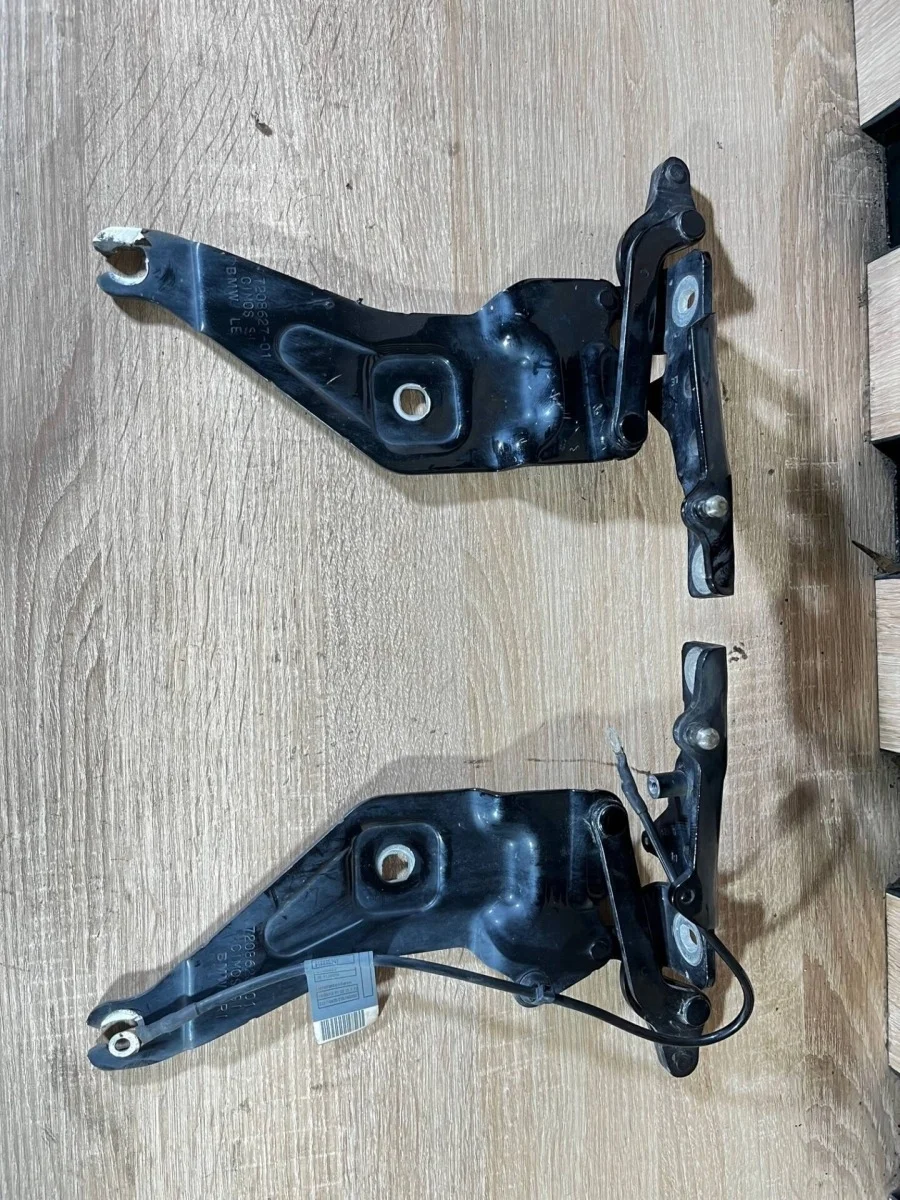 Петля капота BMW X6 2010 41007198618 E71 N57S