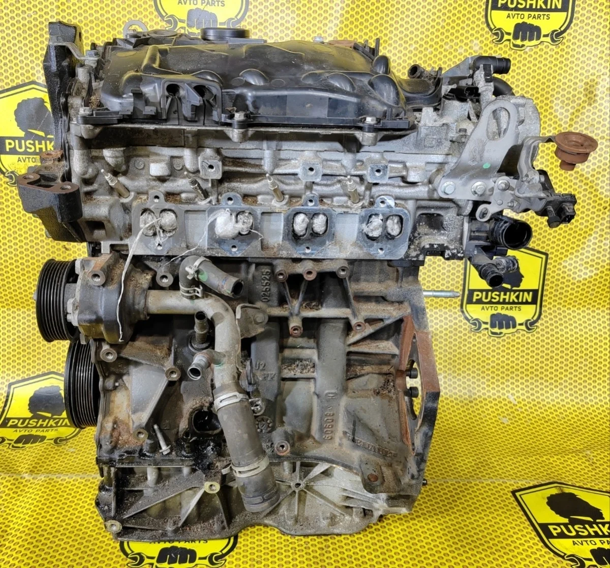 Двигатель Nissan Xtrail 2010 1010200Q1L T31 M9R