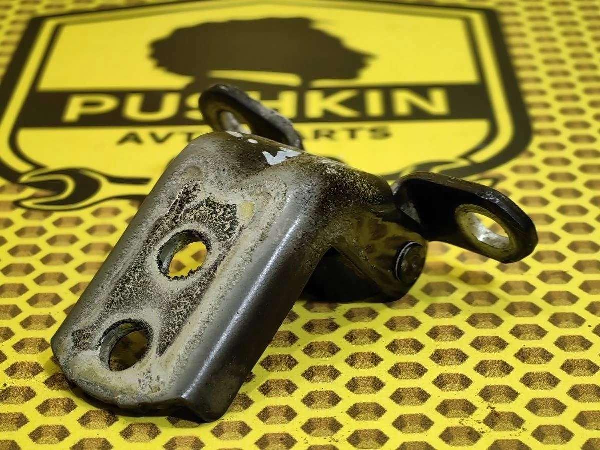 Петля двери Nissan QASHQAI 2011 824202F030 J10 MR20DE, задняя левая