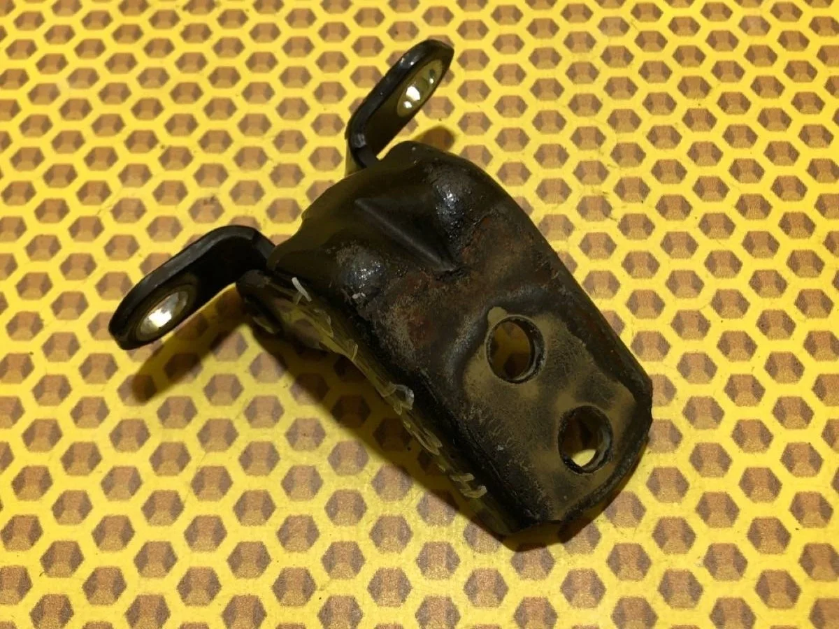 Петля двери Nissan X-Trail 2008 824204P00A T31 QR25DE, задняя правая