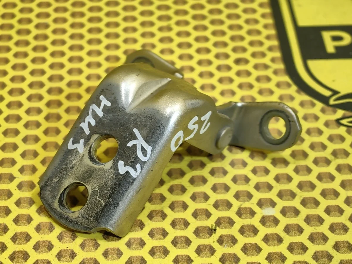 Петля двери задняя нижняя Nissan Murano 2006 824204P000 Z50 VQ35DE, правая