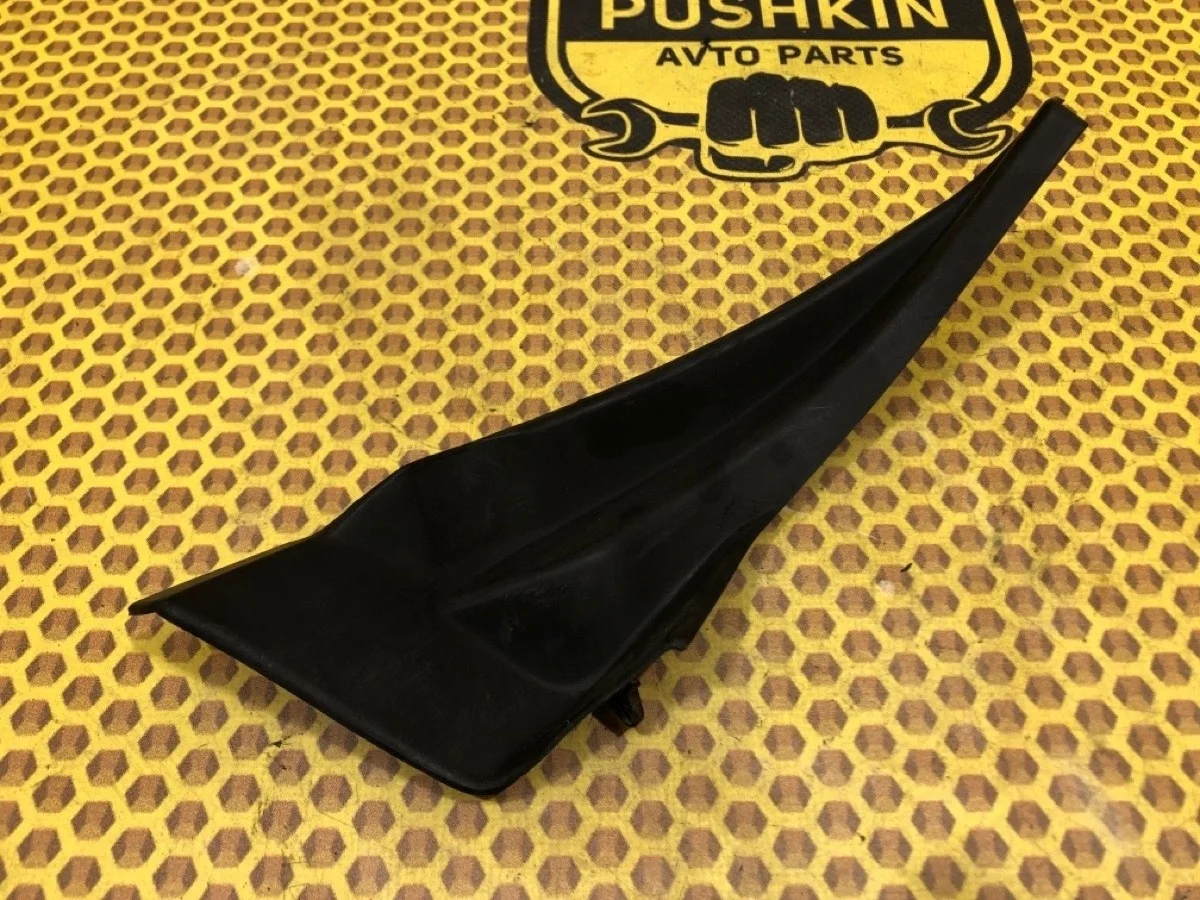 Уголок жабо Nissan X-TRAIL 2008 66894JG000 T31 MR20DE, правый