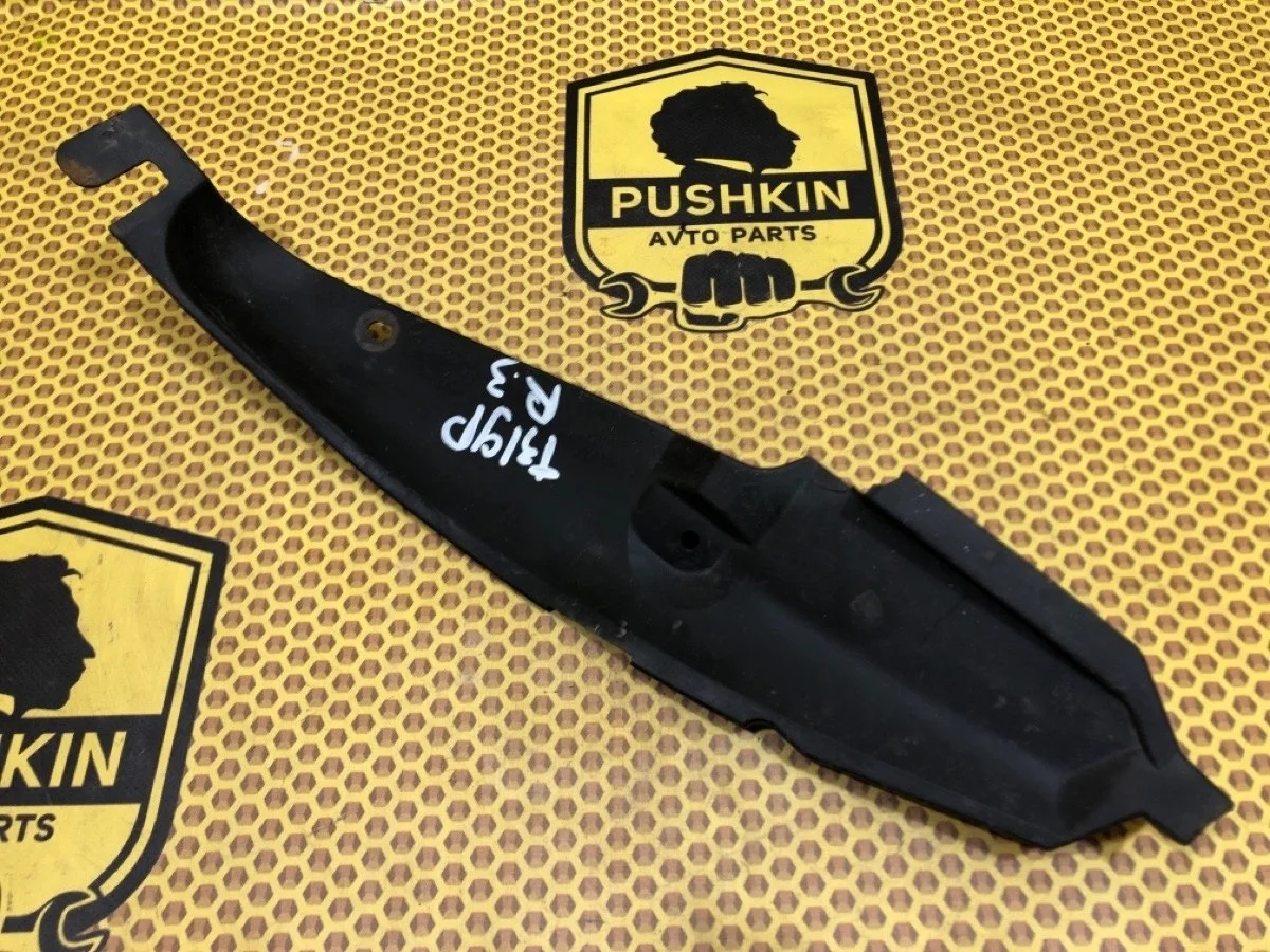 Подкрылок Nissan X-TRAIL 2008 78818JG00A T31 MR20DE, задний правый