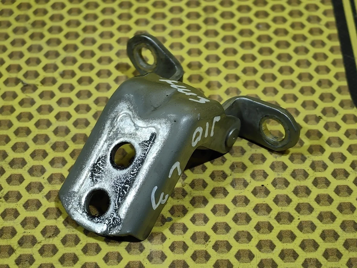 Петля двери задняя нижняя Nissan Qashqai 2010 824202F030 J10 MR20DE, левая