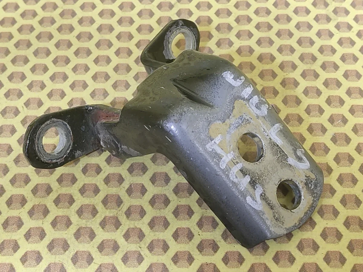 Петля двери задняя нижняя Nissan Qashqai 2008 824202F030 J10E K9K, левая