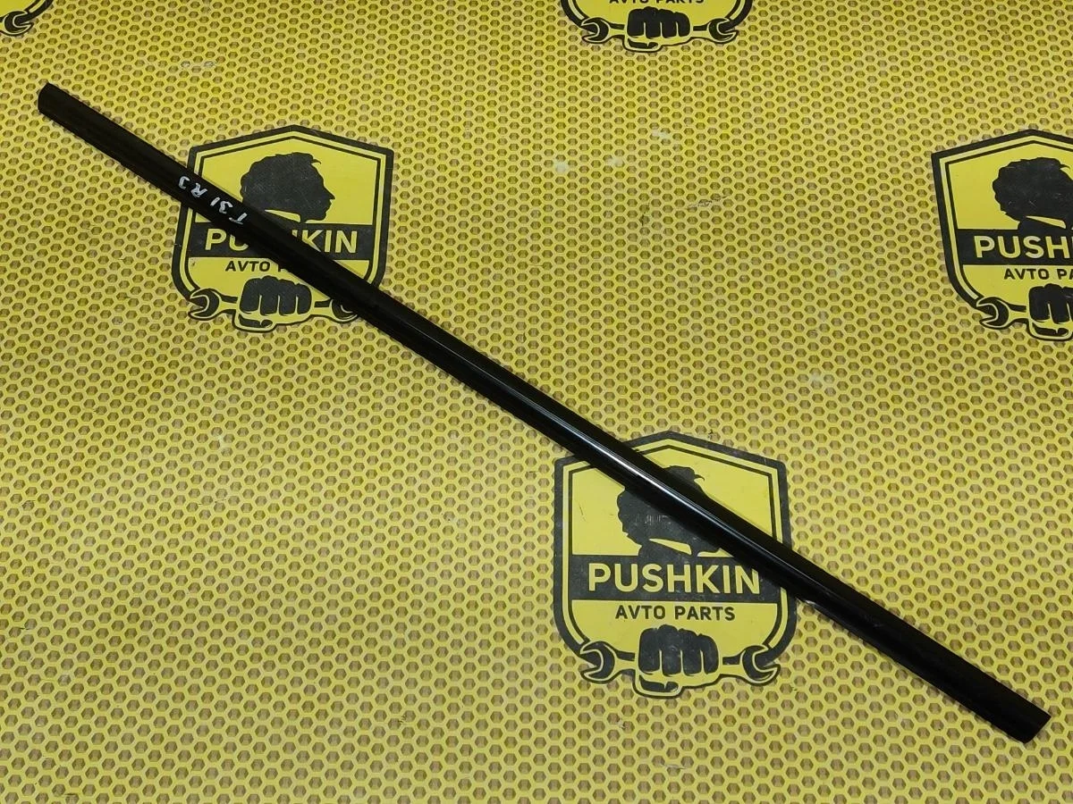 Бархотка внешняя Nissan X-Trail 2013 82820JG000 T31 MR20DE, задняя правая