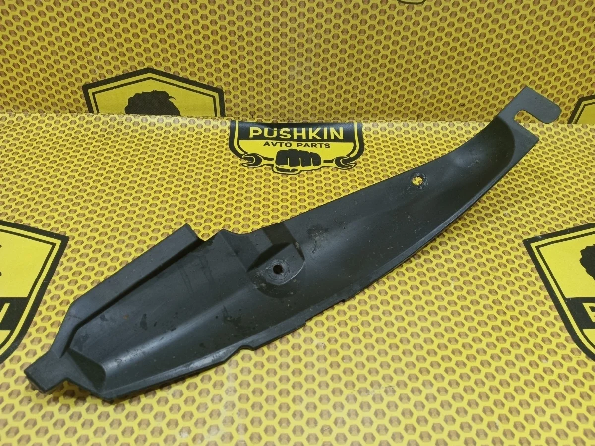 Локер Nissan X-TRAIL 2013 78819JG00A T31 MR20DE, задний левый