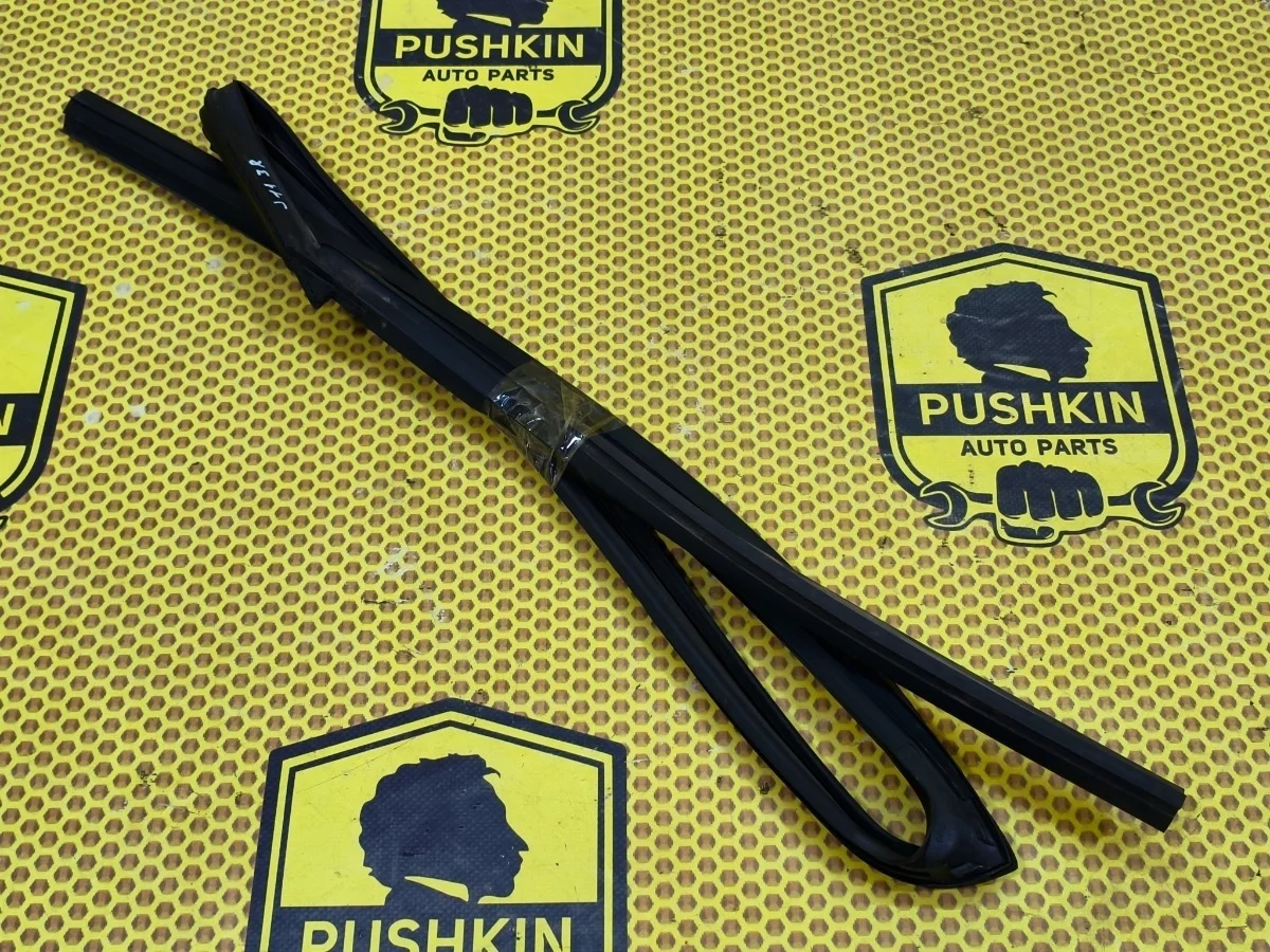 Уплотнитель стекла двери Nissan Qashqai 2018 82330BM90A J11 MR20DD, задний правый