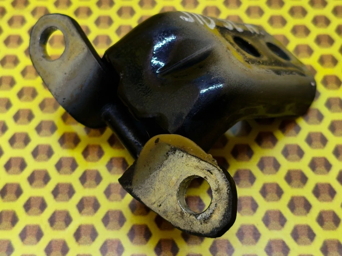 Петля двери задняя нижняя Nissan Qashqai 2008 824202F030 J10 HR16DE, левая