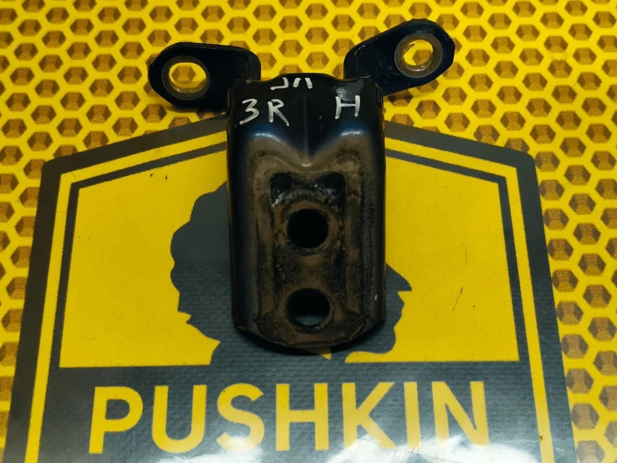 Петля двери задняя нижняя Nissan Qashqai 2018 824204EA0A J11 MR20DD, правая