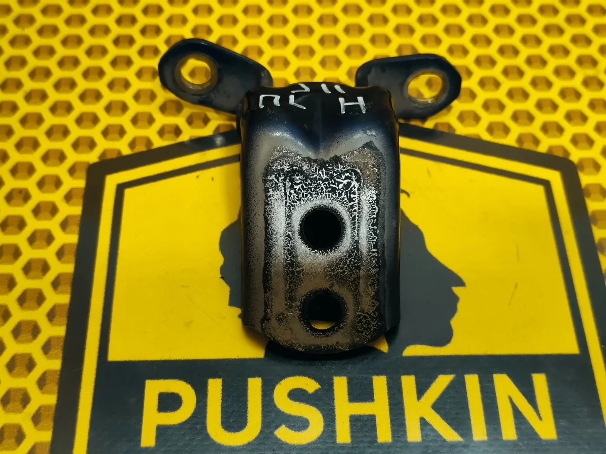 Петля двери передняя нижняя Nissan Qashqai 2018 824204EA0A J11 MR20DD, левая