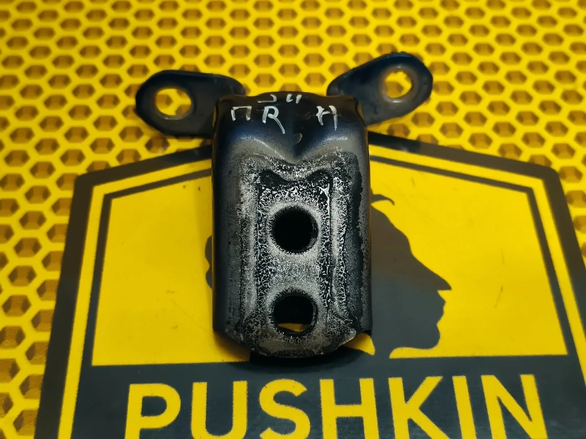 Петля двери передняя нижняя Nissan Qashqai 2018 824204EA0A J11 MR20DD, правая