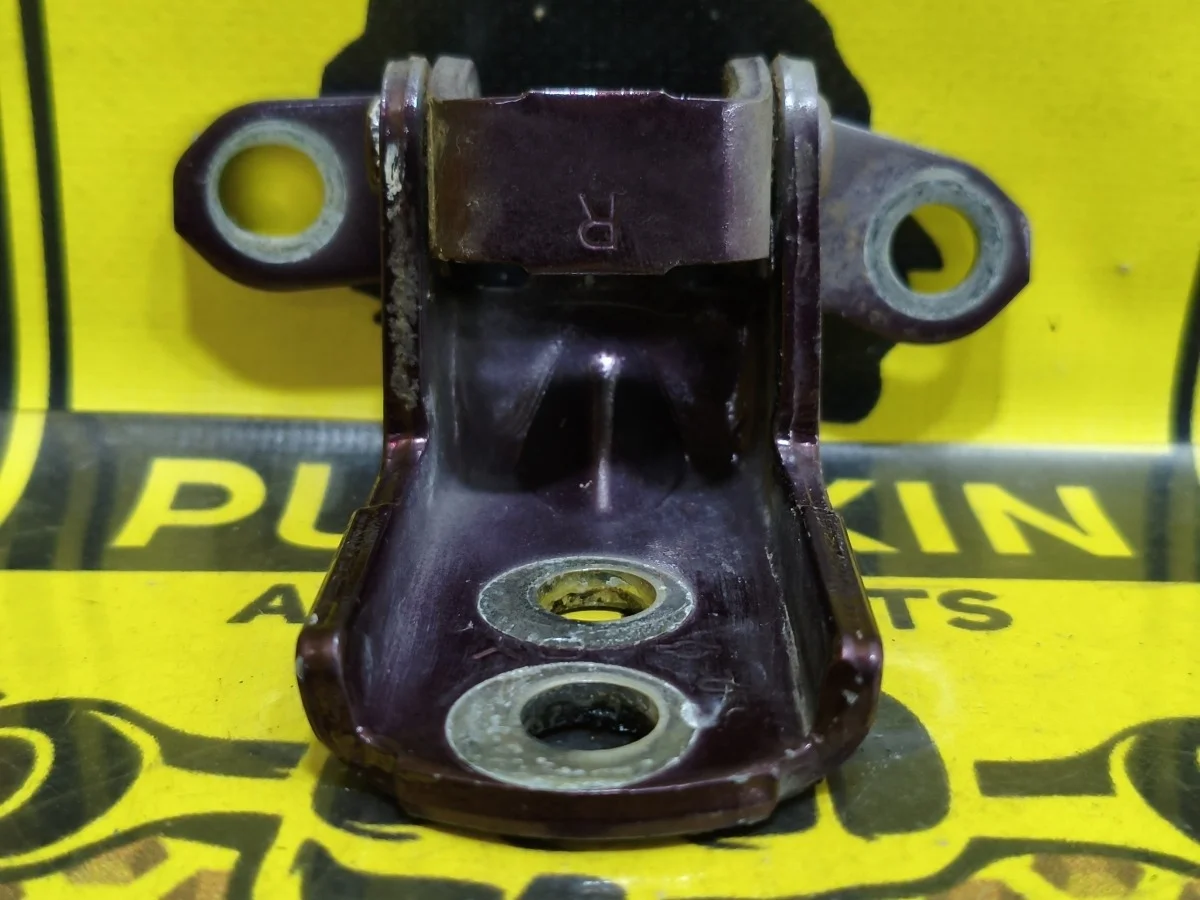 Петля двери задняя нижняя Nissan Teana 2011 824214P00A J32 VQ35DE, задняя левая