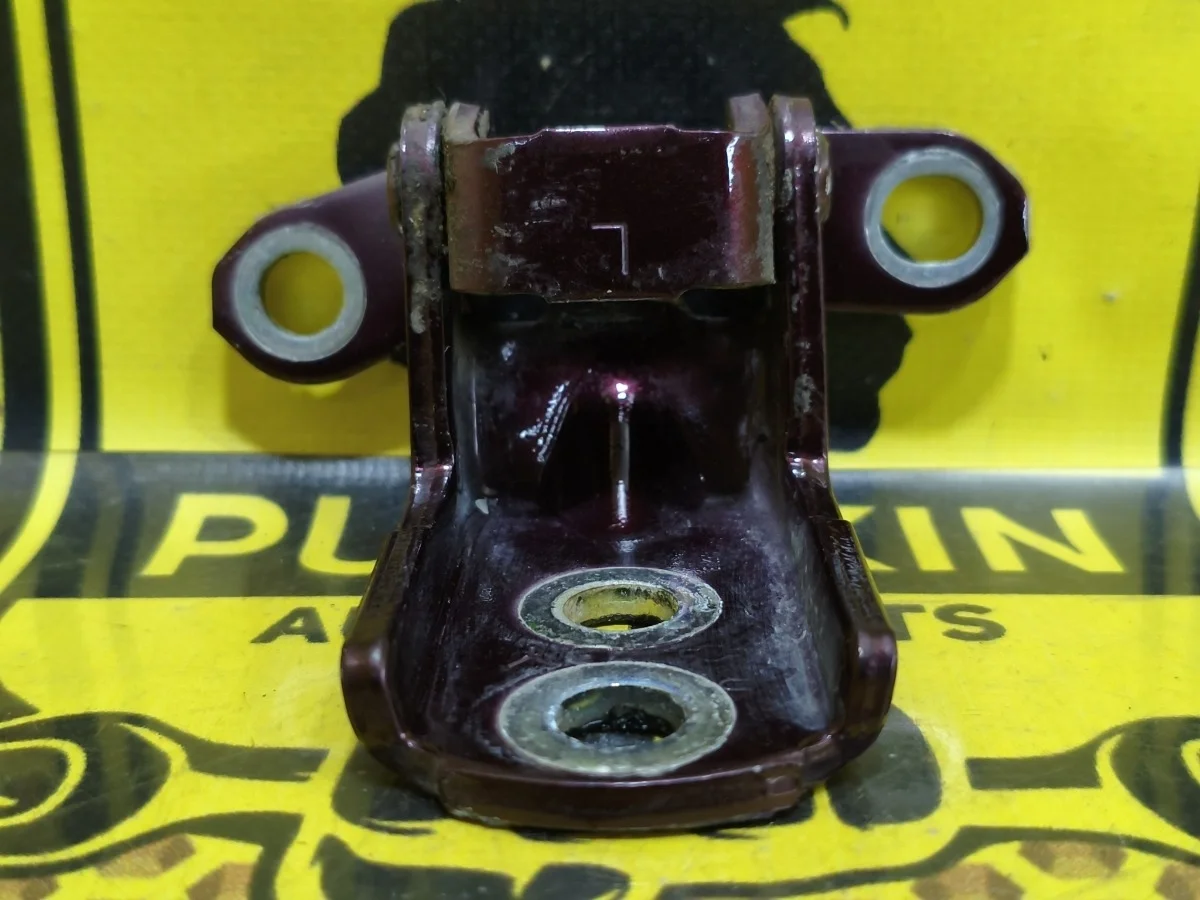 Петля двери задняя нижняя Nissan Teana 2011 824204P00A J32 VQ35DE, задняя правая