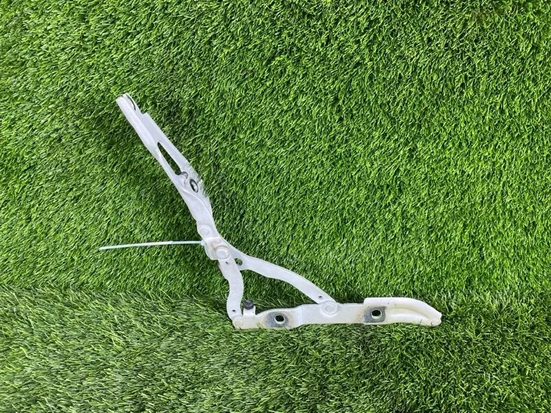 Петля крышки багажника BMW 3-Series 2010 7060627 E90 N43N20A, задняя левая