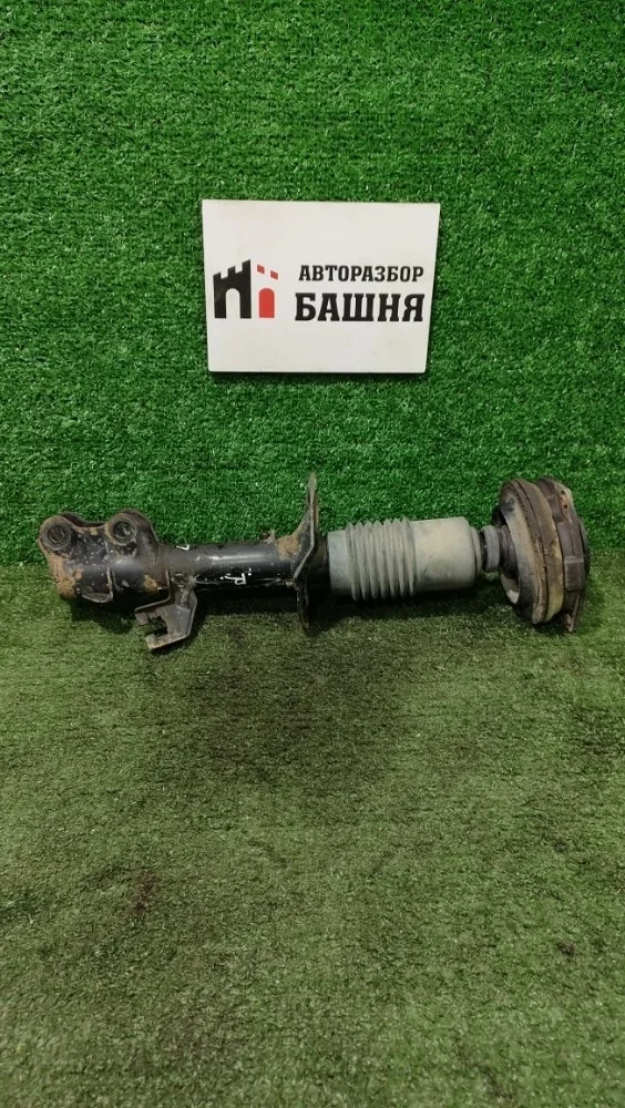 Амортизатор Nissan Tiida 2010 E4302EC80A C11 HR16DE, передний правый