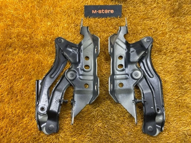 Петля капота Mercedes-Benz A-Class 2008 A1698800228 W169 266.940