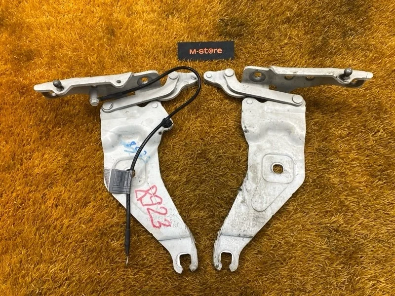 Петля капота Bmw X6 2008 7208628 E71 N54B30A