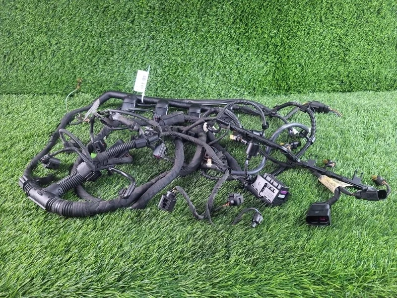 Проводка ДВС Volkswagen Tiguan 2011 06J971824B 5N CCZ 2.0T