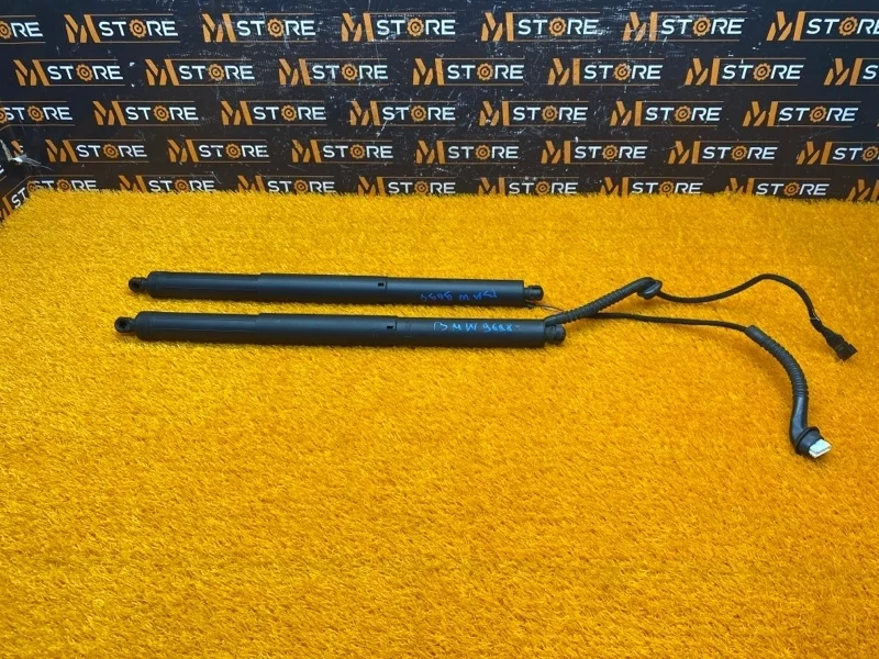 Амортизатор багажника BMW X5 2013 7361878 F15 N57D30A