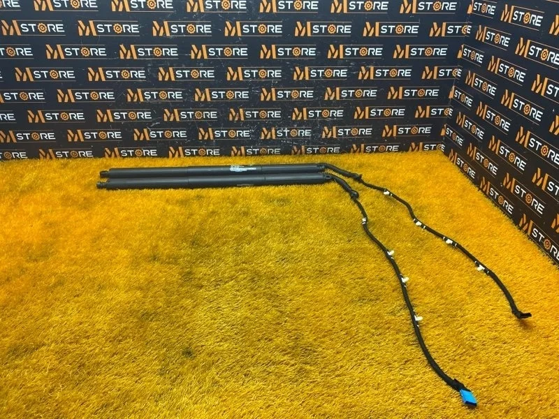 Амортизатор багажника BMW X3 2013 7232004 F25 N47D20C