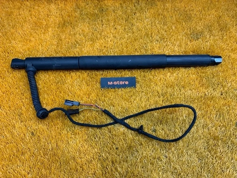 Амортизатор багажника Bmw X6 2010 7188489 E71 N55B30A, левый