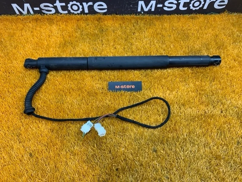 Амортизатор багажника Bmw X6 2010 7188490 E71 N55B30A, правый